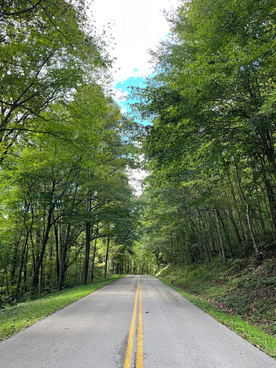 Lower River Rd