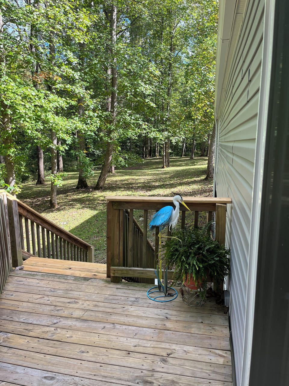 Private back yard