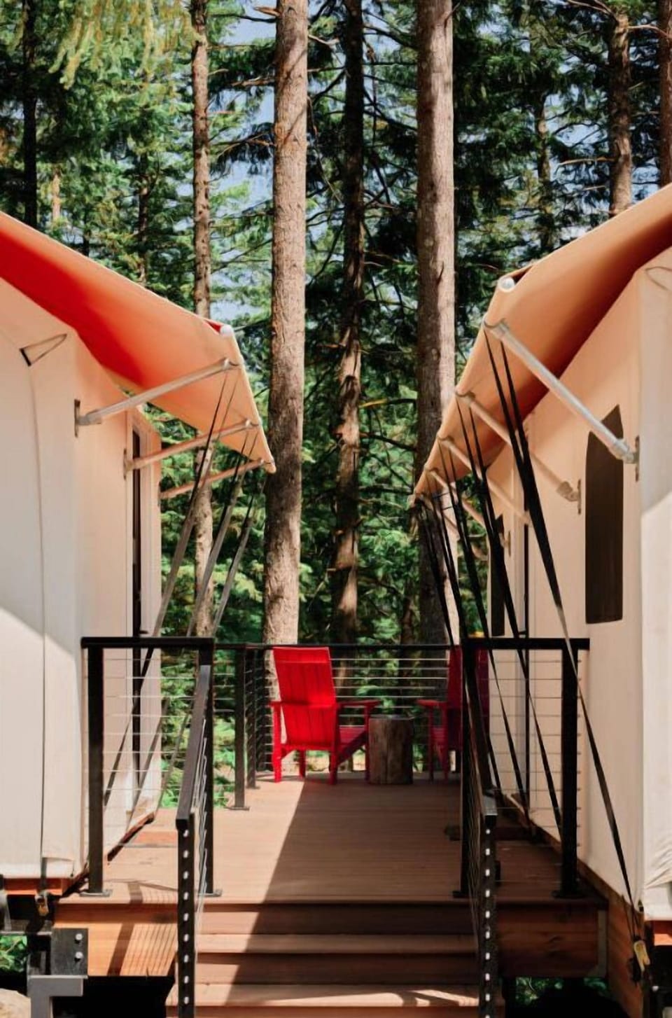 A welcoming pathway leading to your elevated forest retreat, blending comfort with nature.