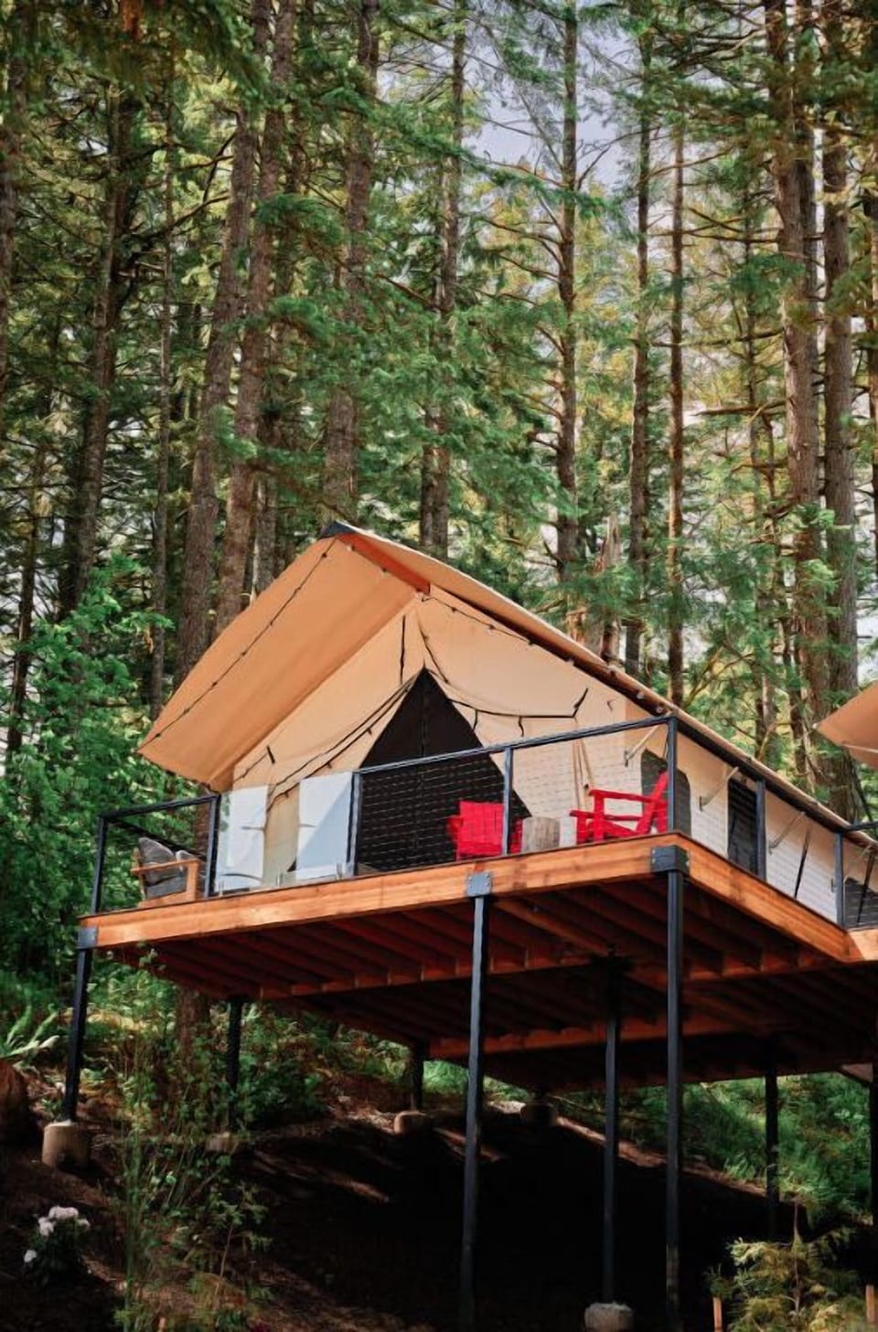 A charming treetop tent surrounded by towering trees, offering a peaceful escape into nature.