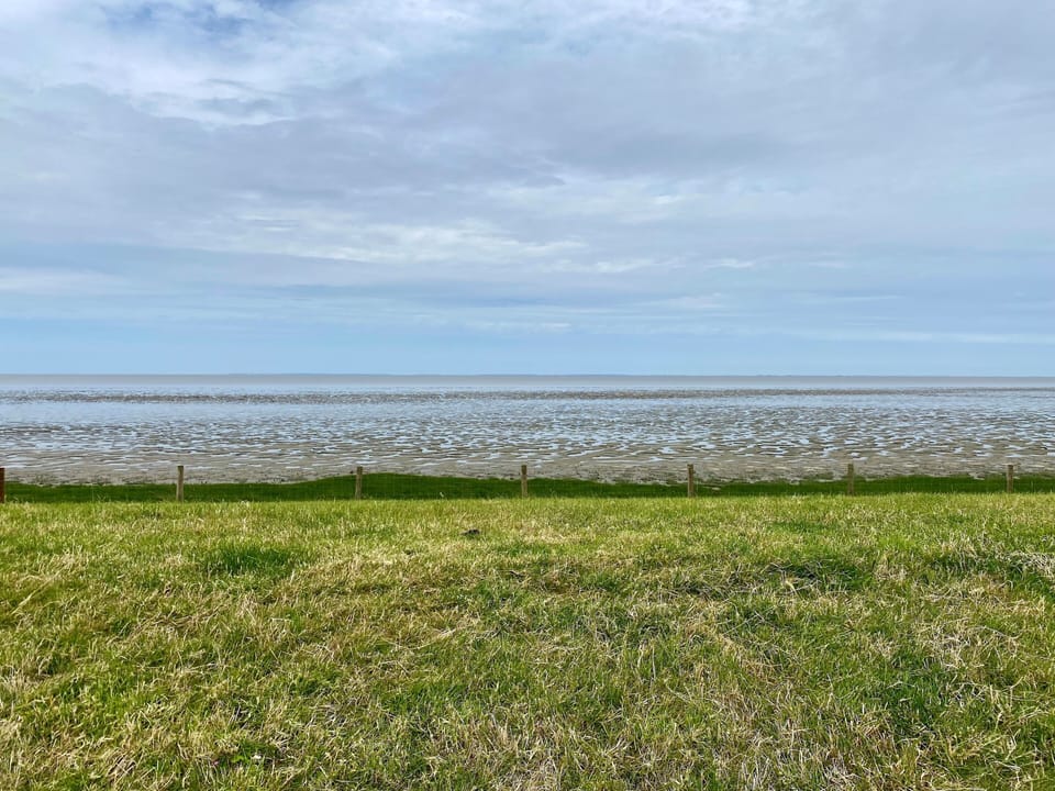 Immediate Surroundings [summer] (<1 km)