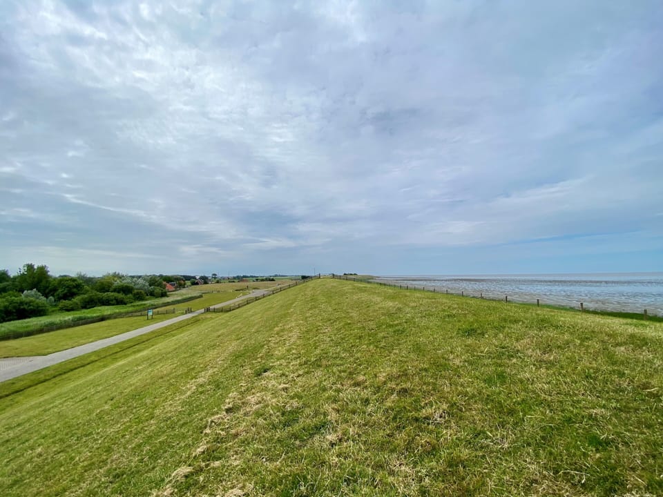 View from Holiday Home [summer]