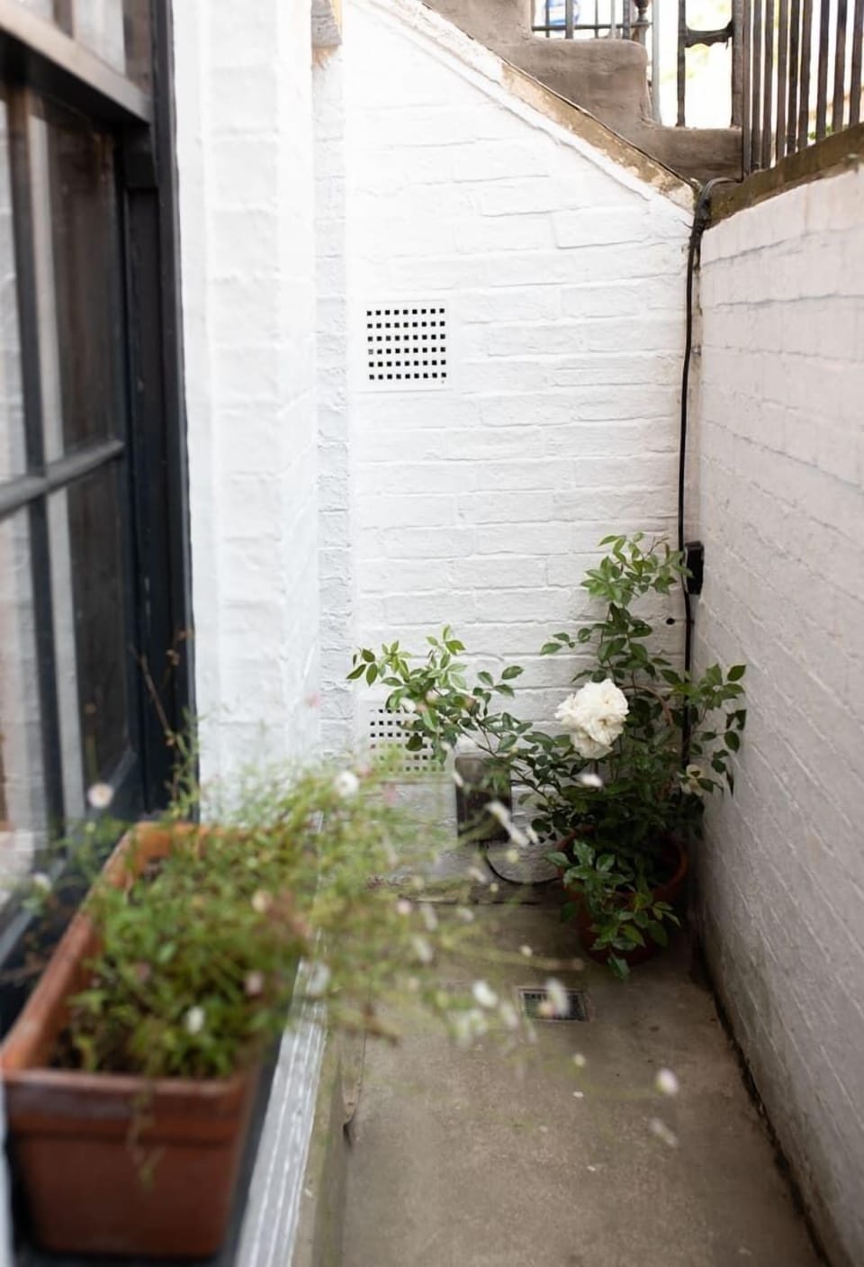 A charming mini garden, perfect for adding a touch of greenery and tranquility to any space.