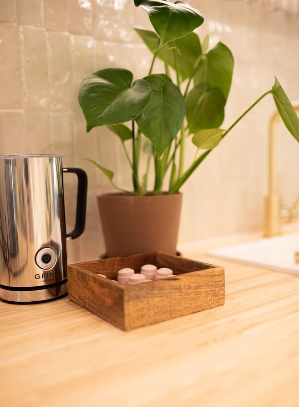 Green plants tastefully arranged in the kitchen, adding a fresh and vibrant touch to the culinary space.