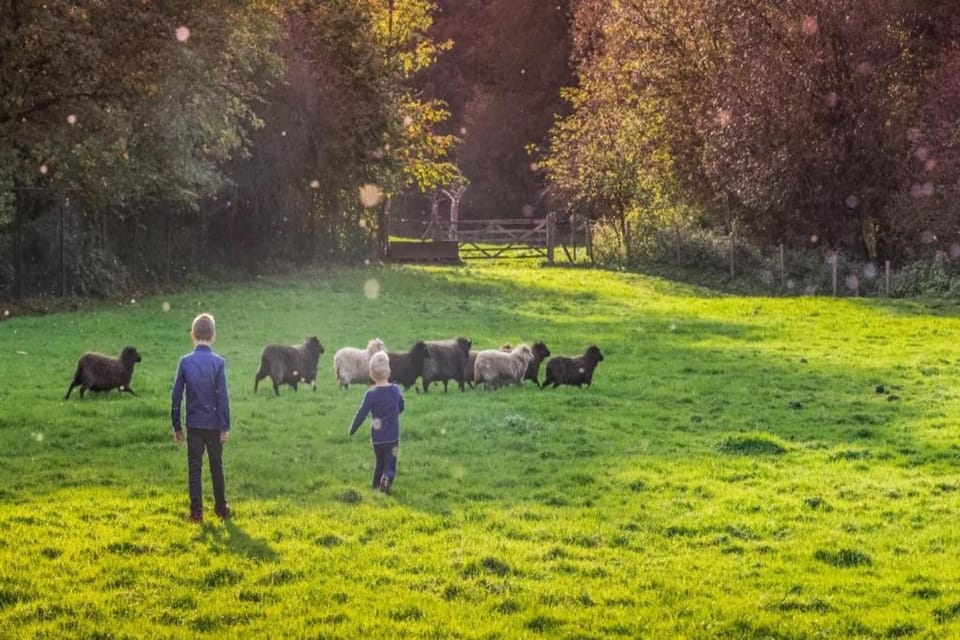 Region [summer] (>5 km)