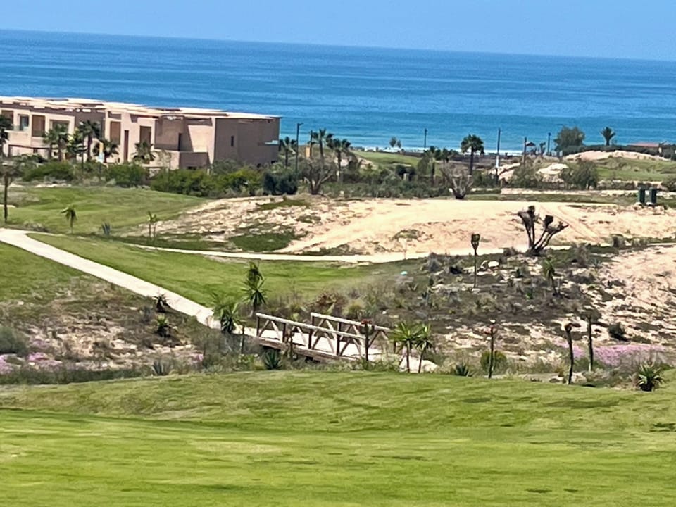 The view