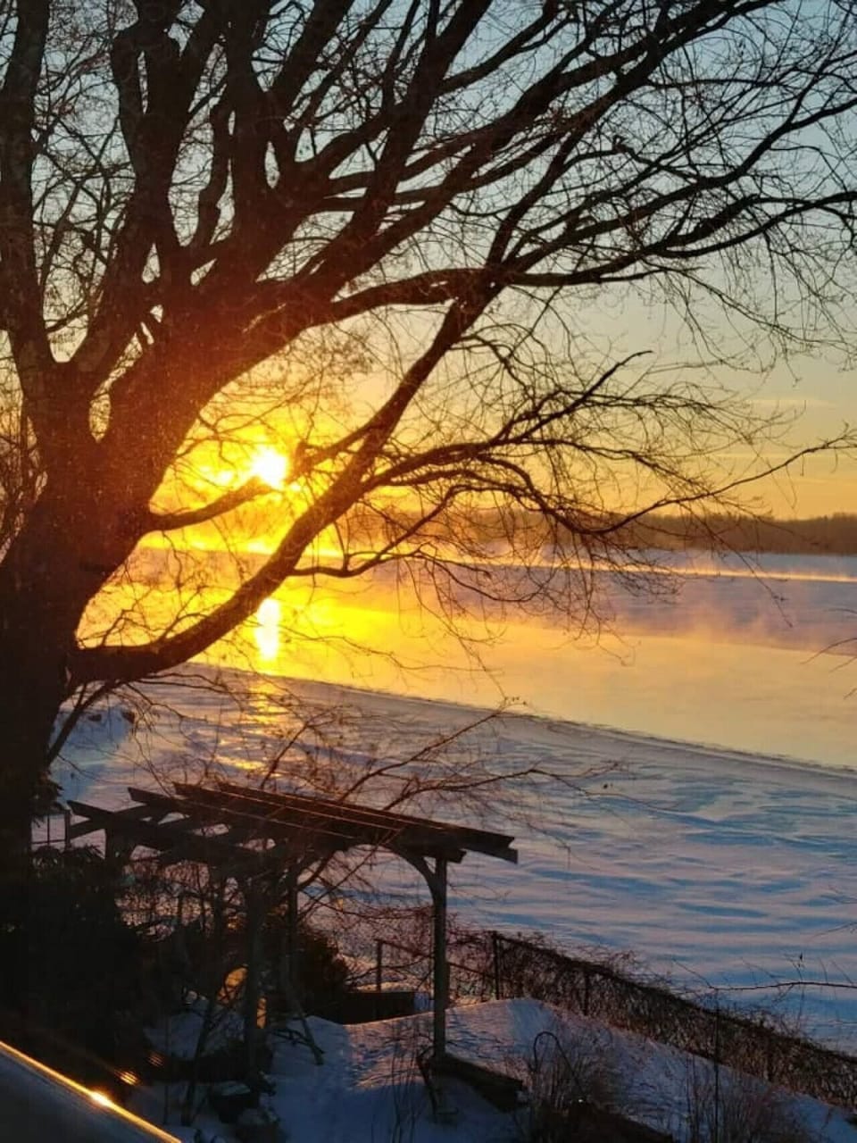 The sunsets at Bellevue!