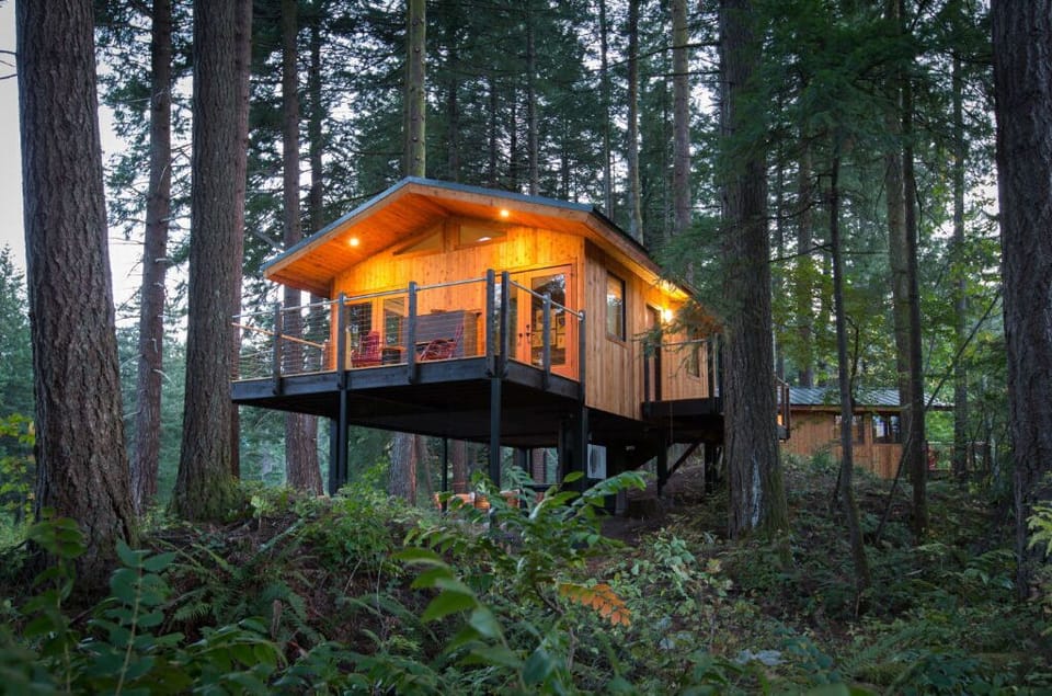 Experience tranquility in a magical treehouse, nestled among towering trees for a serene escape.