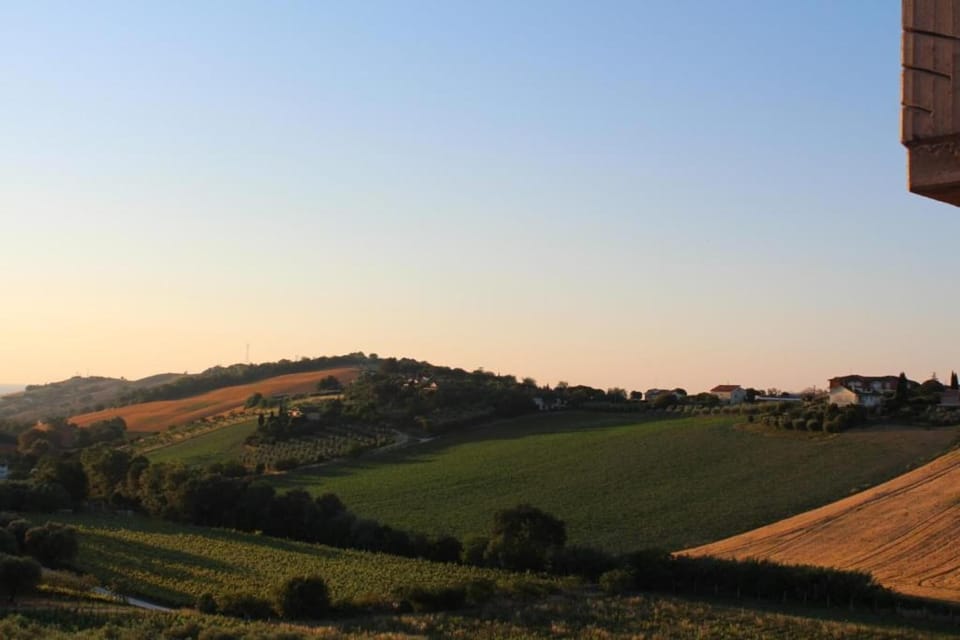 Region [summer] (>5 km)