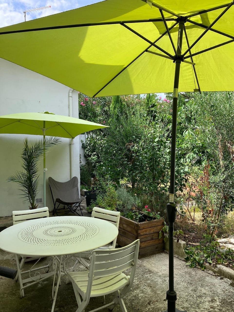 terrace