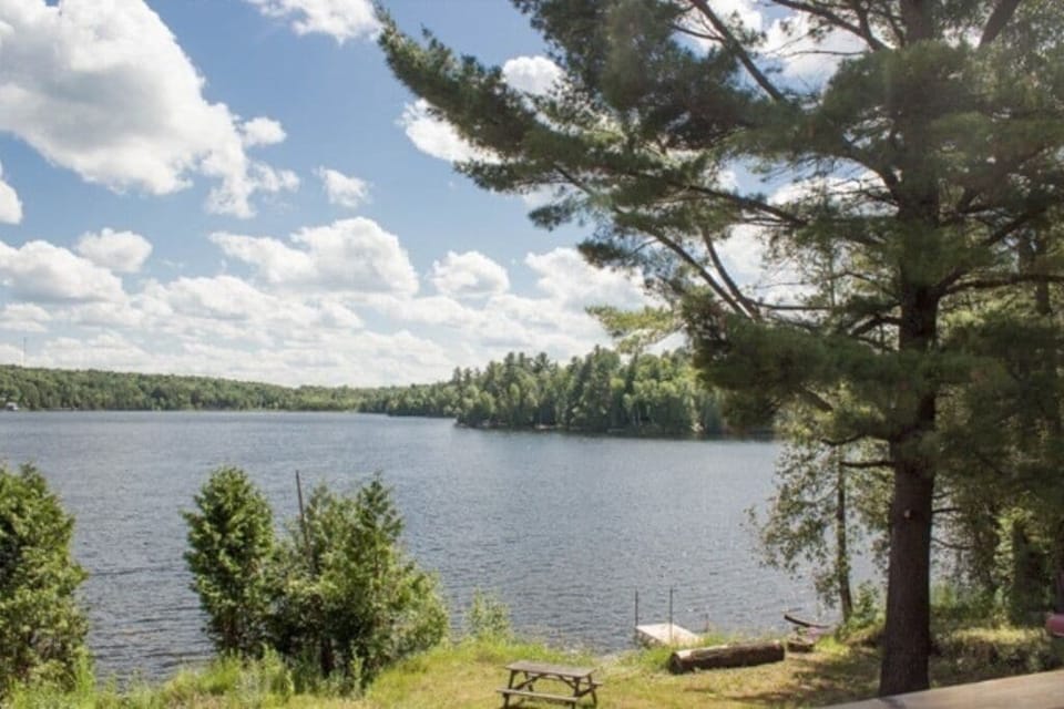 Lake View: Bancroft cottage with scenic views of the lake
