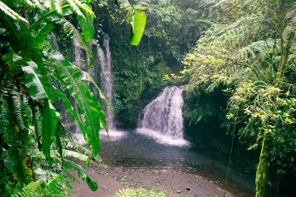 Image 23