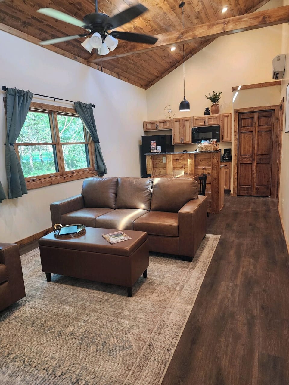 Living Room and Kitchen