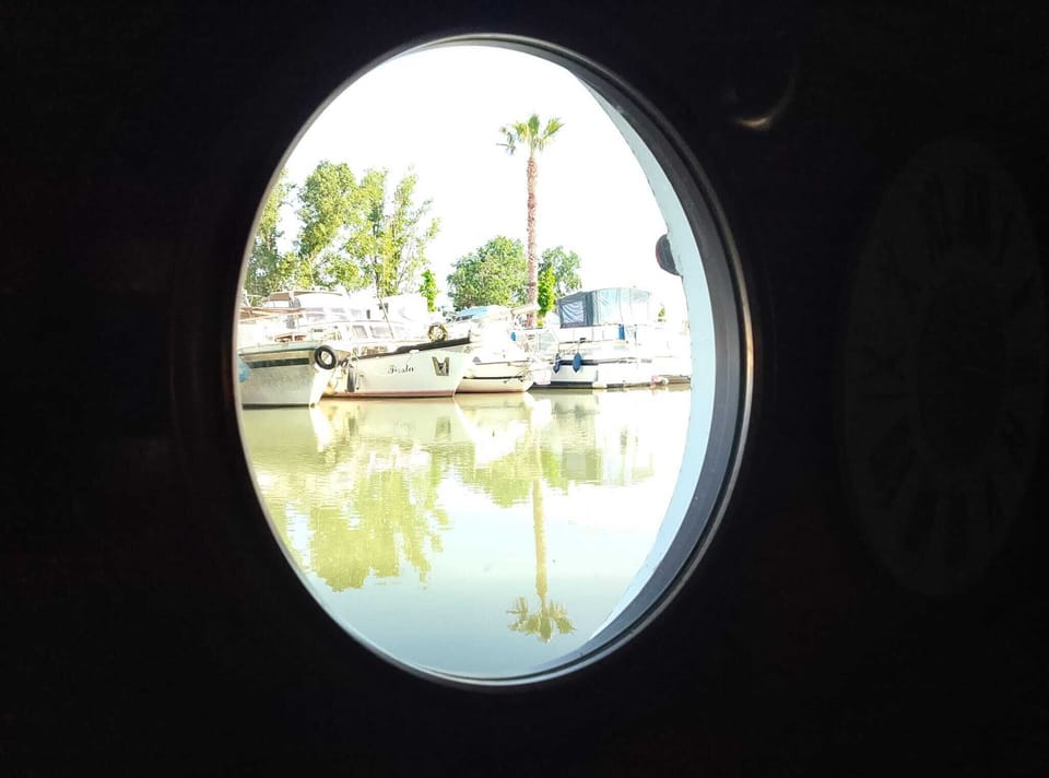 View From Kitchen