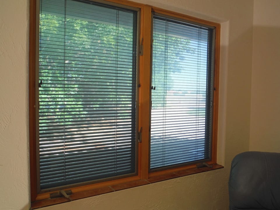 Looking out the window, trees outside the smaller bedroom.