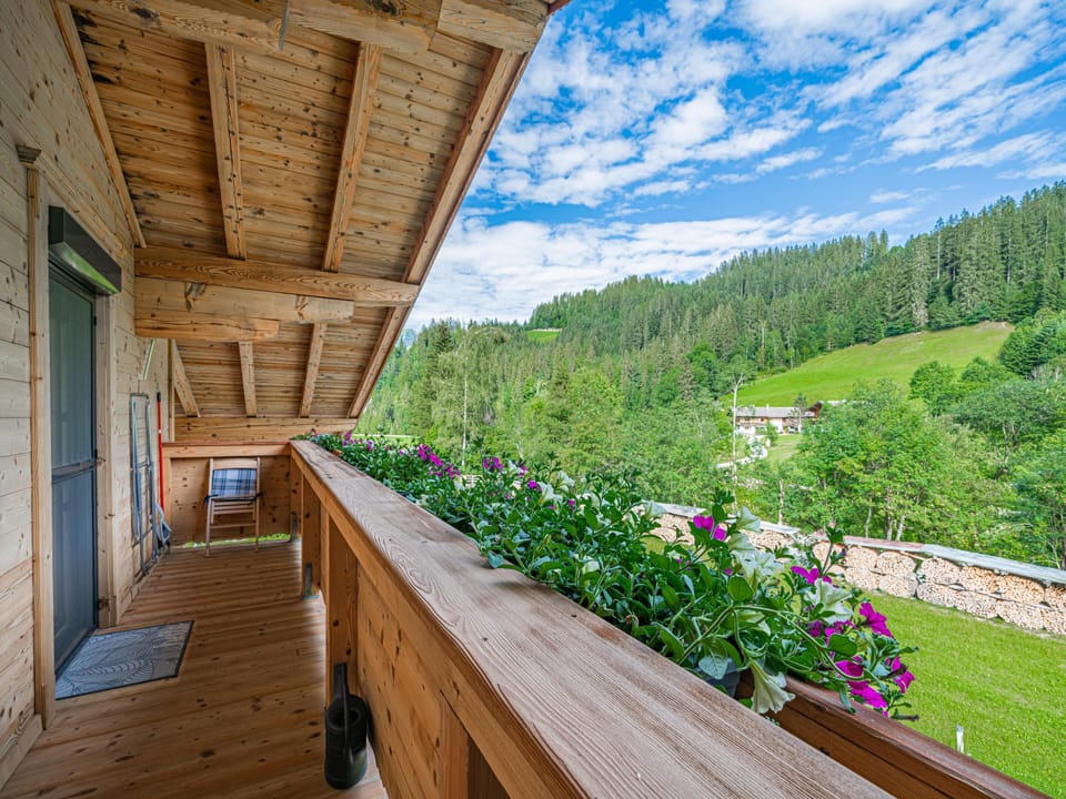 View from Holiday Home [summer]