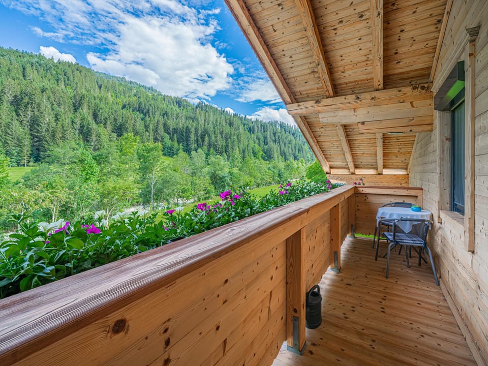 Patio / Balcony