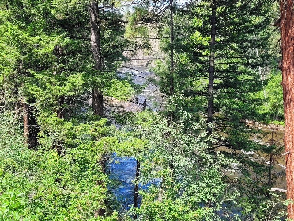 Another view of the river 