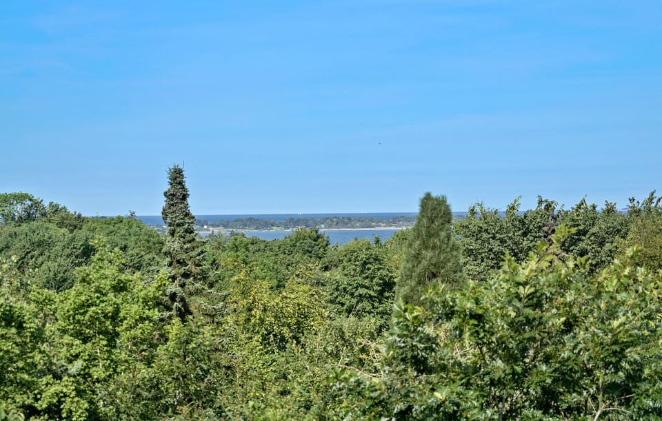 view-from-room