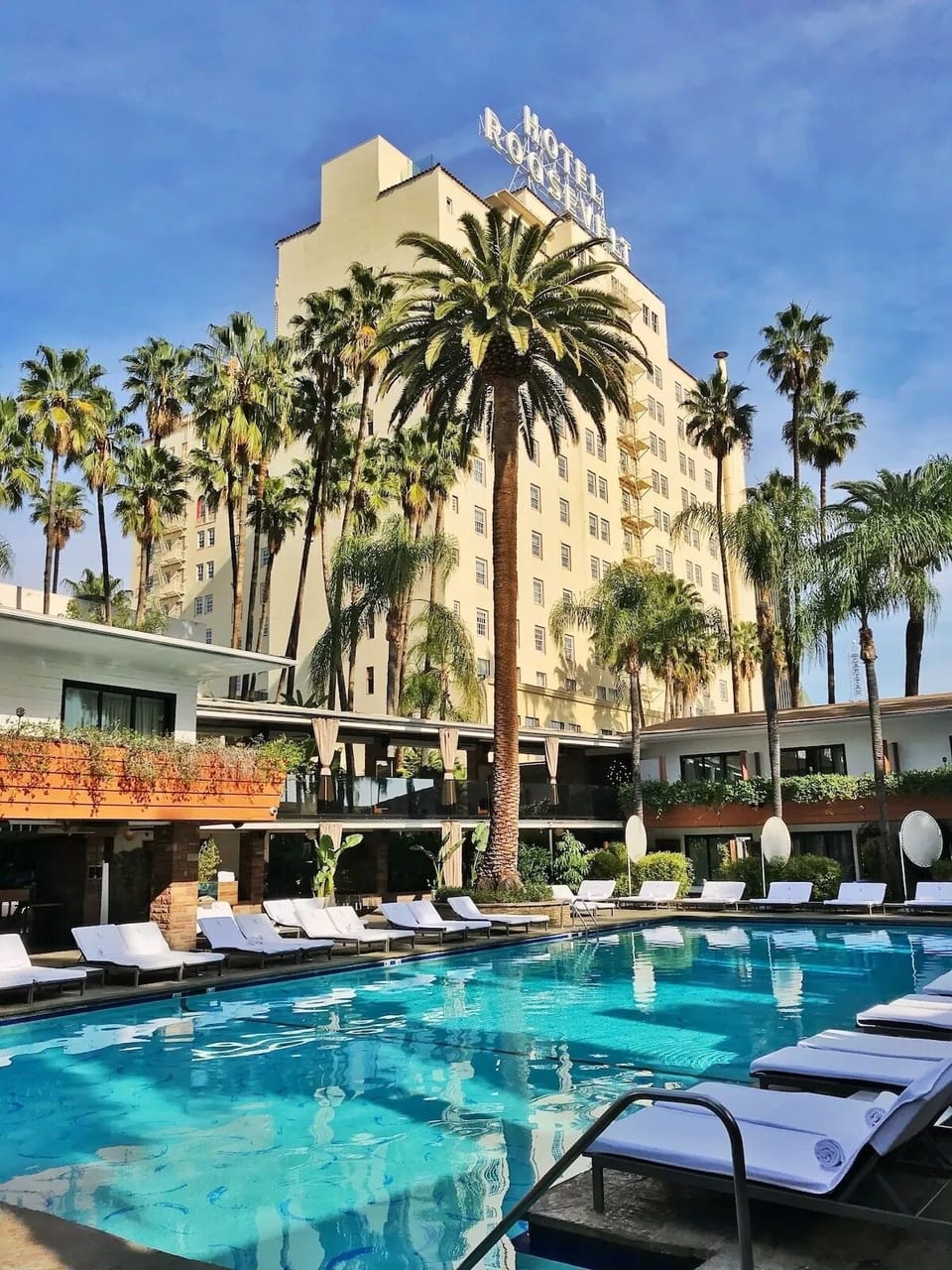 Dive into sunlit poolside glamour beneath swaying palms and sky.