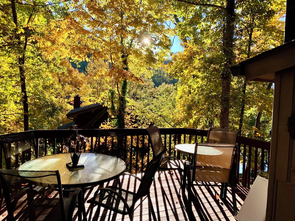 Deck View in the fall