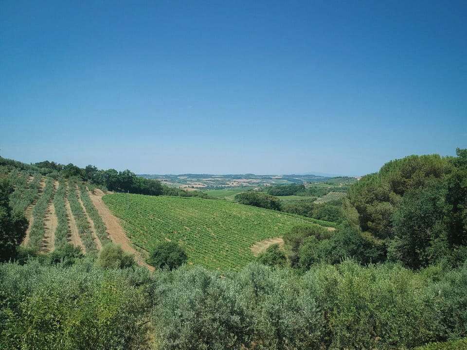 Autumn, Scenic View, Spring, Summer