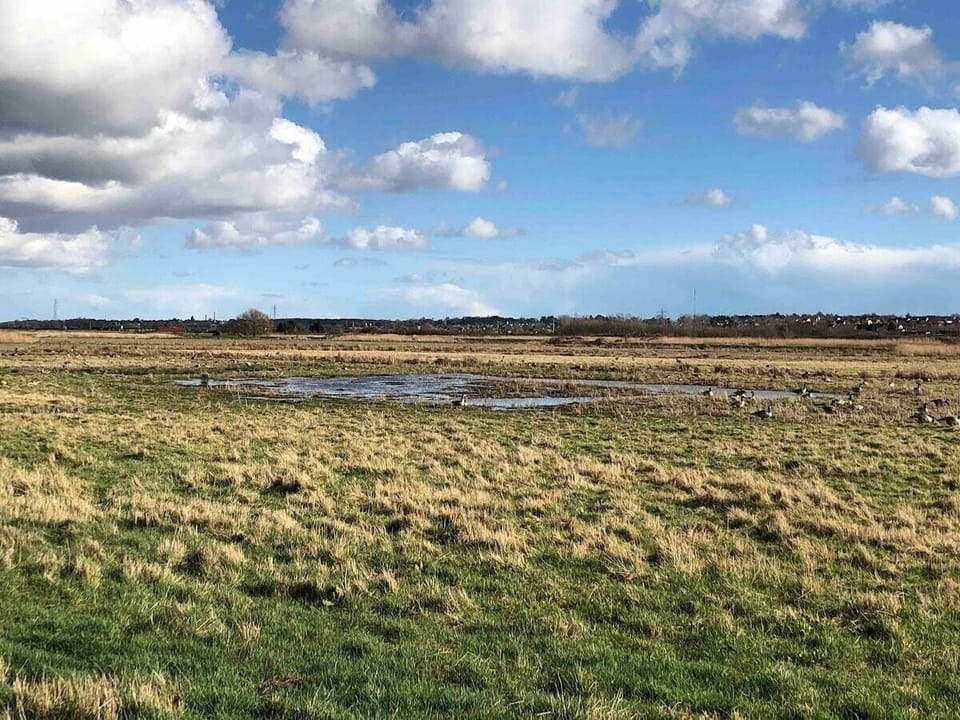 Beautiful countryside walks around Dedham Vale and Flatford