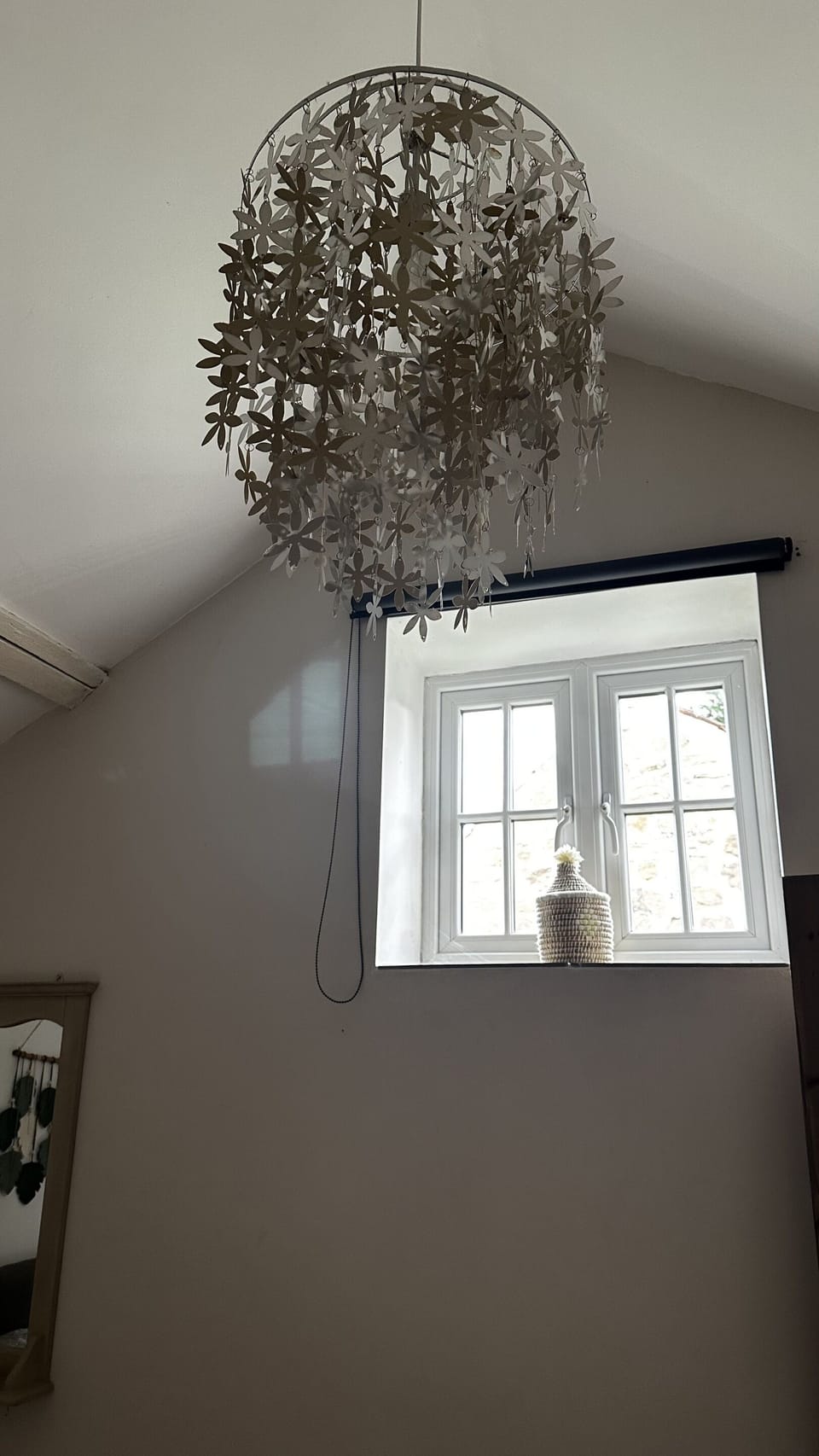 window