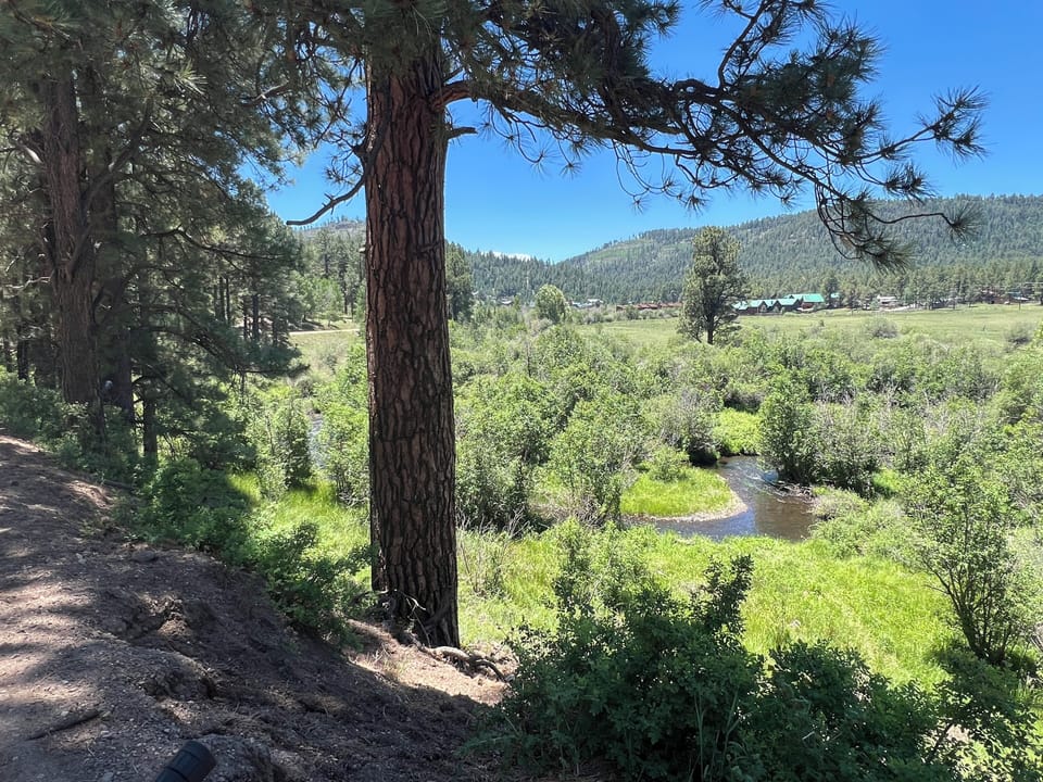 East Fork Rd