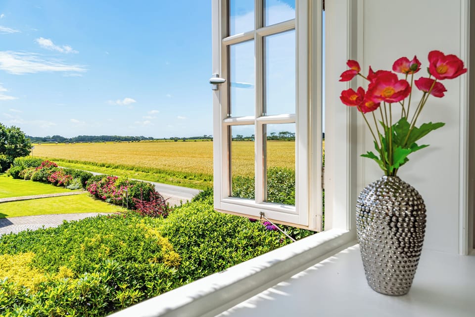 Garden view