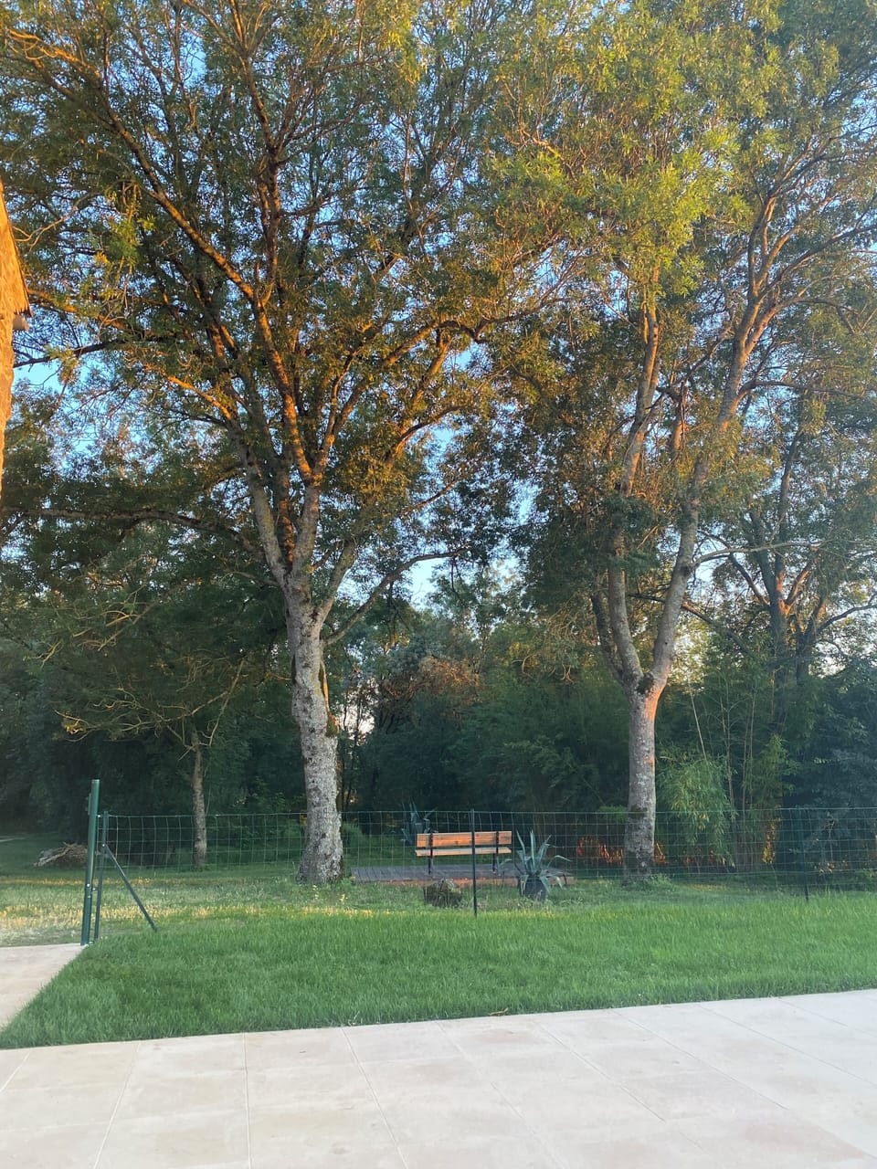 Sport court