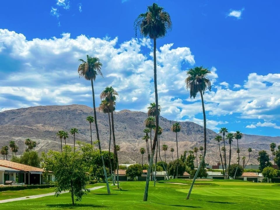 Love the view from the patio! 