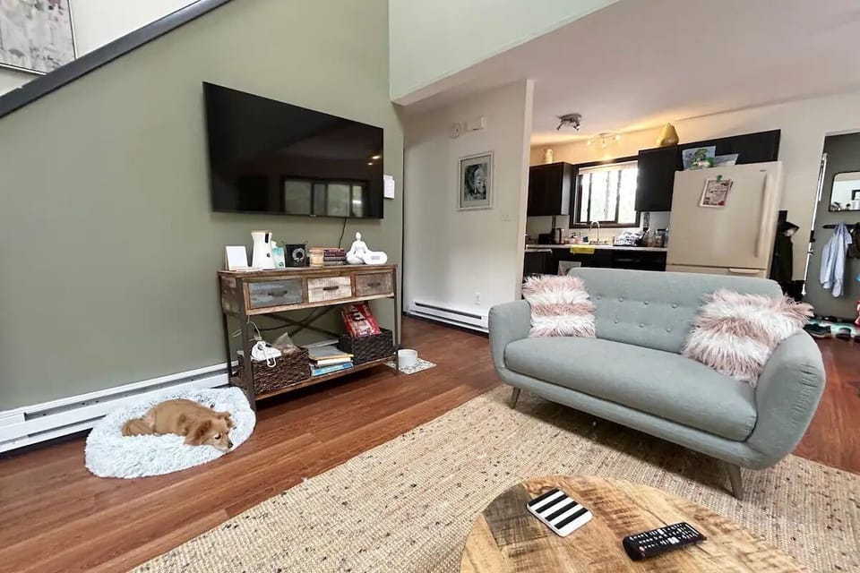 living room and cameo of my dog bijou in the dog bed