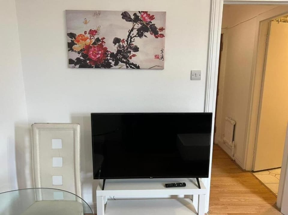 This photo represents the TV inside the flat. 