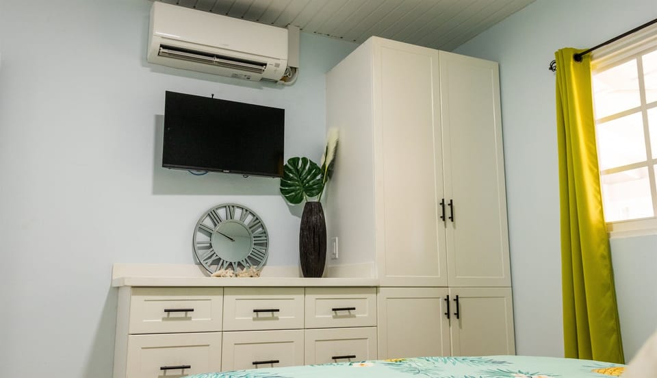 Second bedroom with closet space and TV