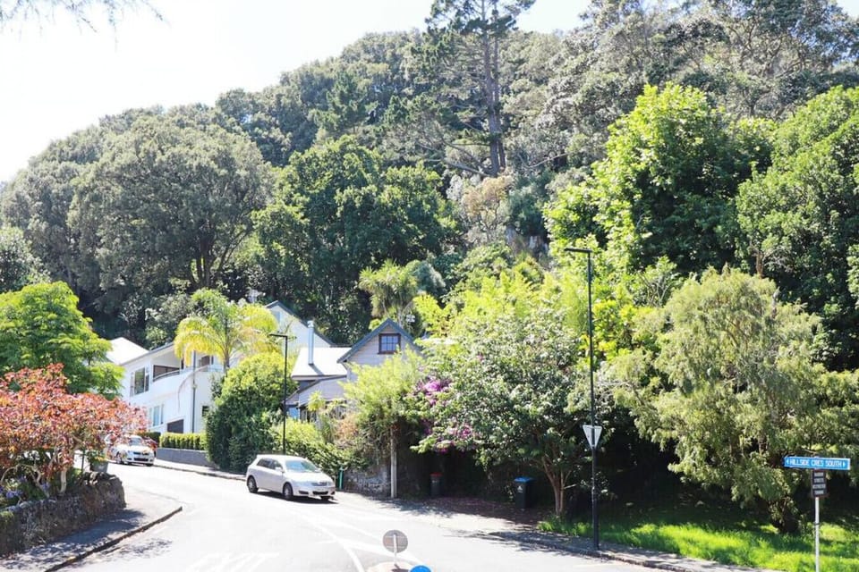 Outlook to  Mt Eden