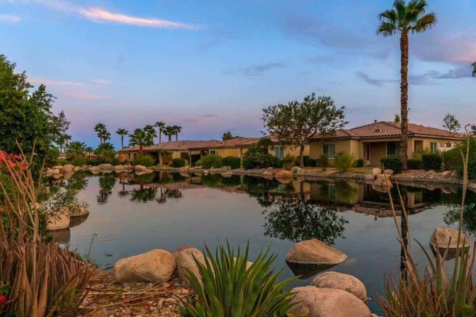 Peaceful lake and palm views for a relaxing atmosphere