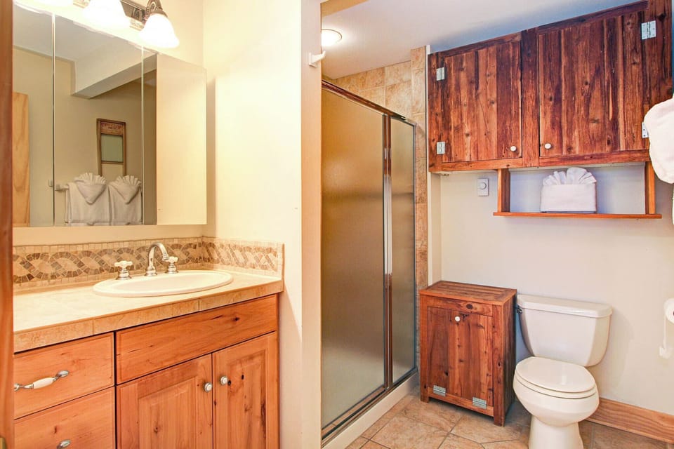 Private, attached guest bathroom. Step in shower (no tub)