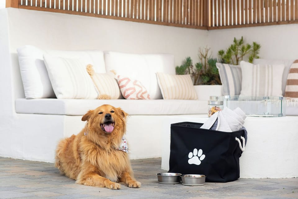 We provide everything your sweet pup(s) need for a clean + comfy stay, including treats, bowls, paw towels, and a large dog blanket for lounging  and naps. 🐾  