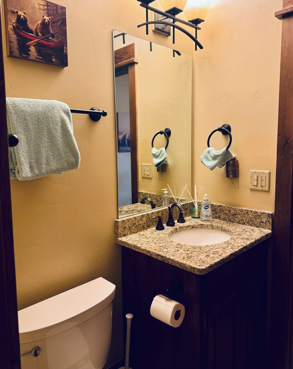 Guest bathroom 