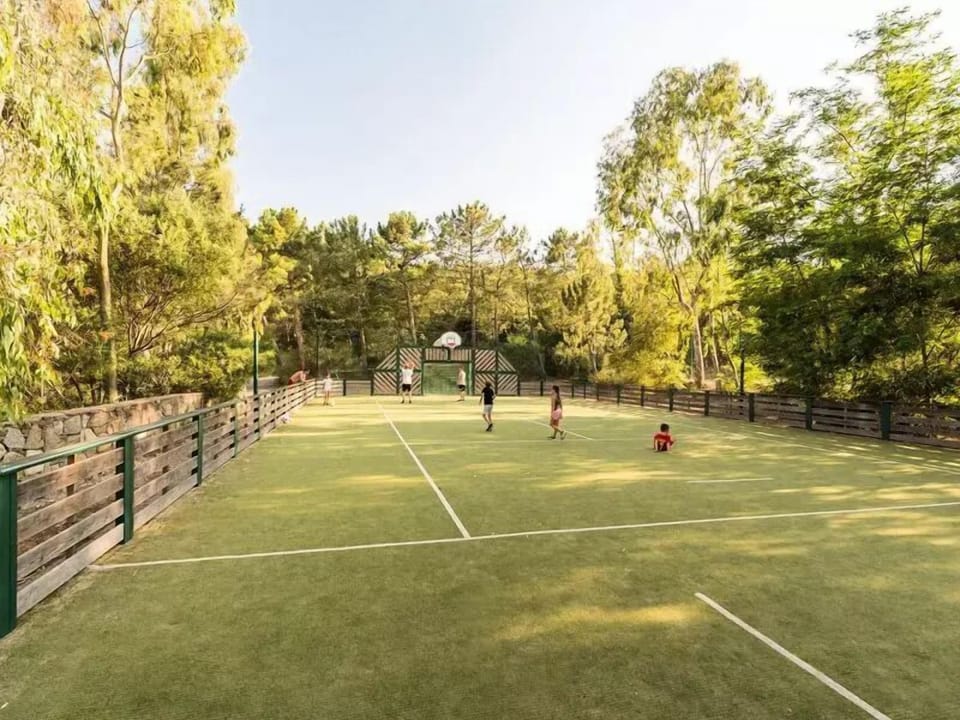 Sport court