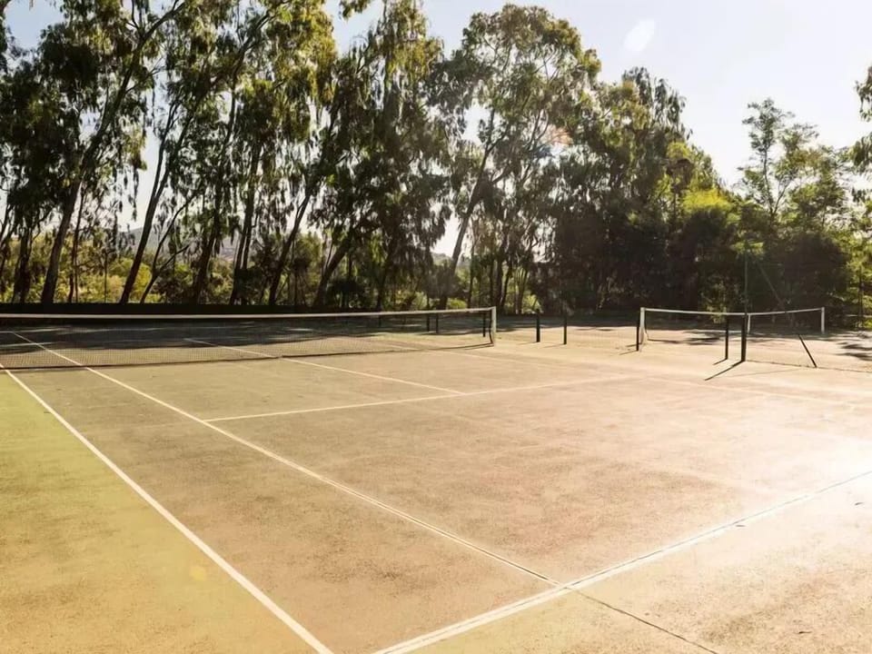 Sport court