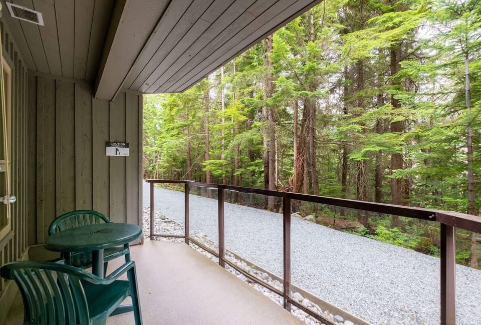 Private patio: Forested garden view