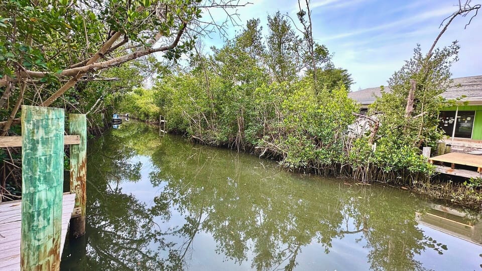 Canal behind Lion's Paw.