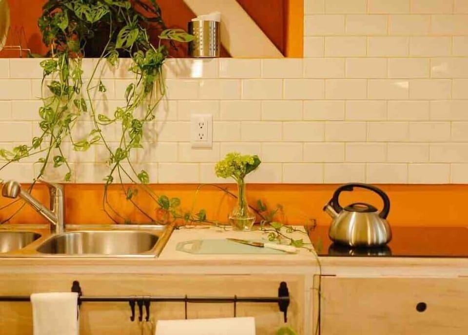 kitchen with vivid colours