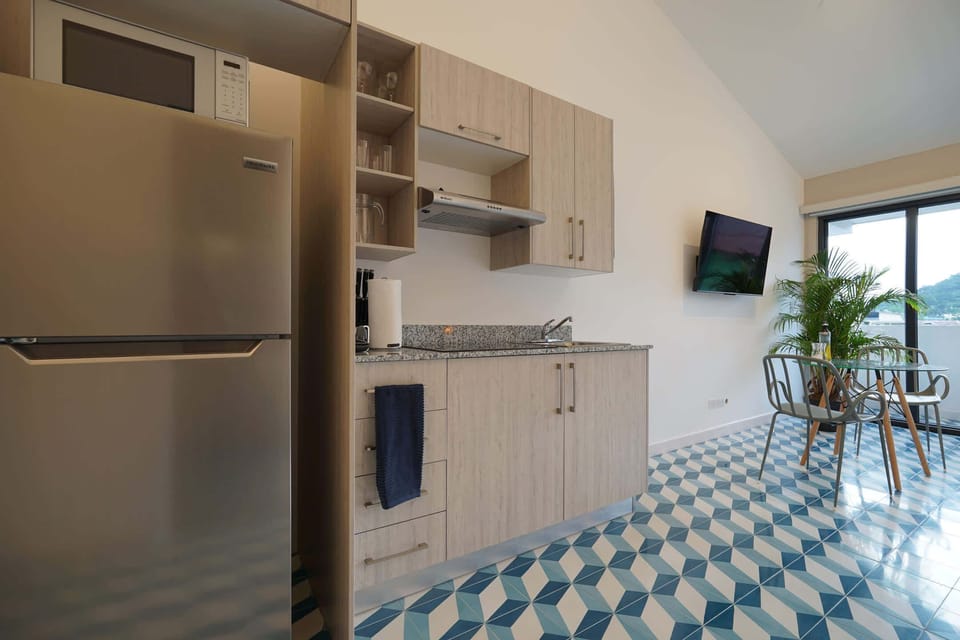 Kitchen equipped with large refrigerator