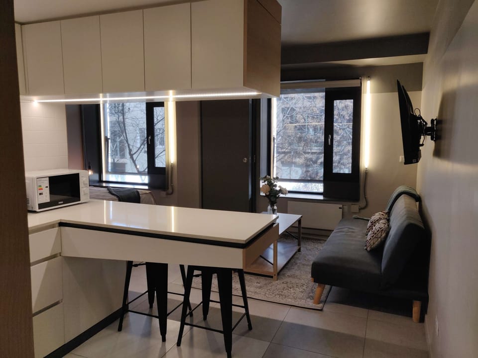 Chic studio with modern amenities, perfect for a cozy stay in the heart of the city. Enjoy the comfort of a stylish living area with natural light.