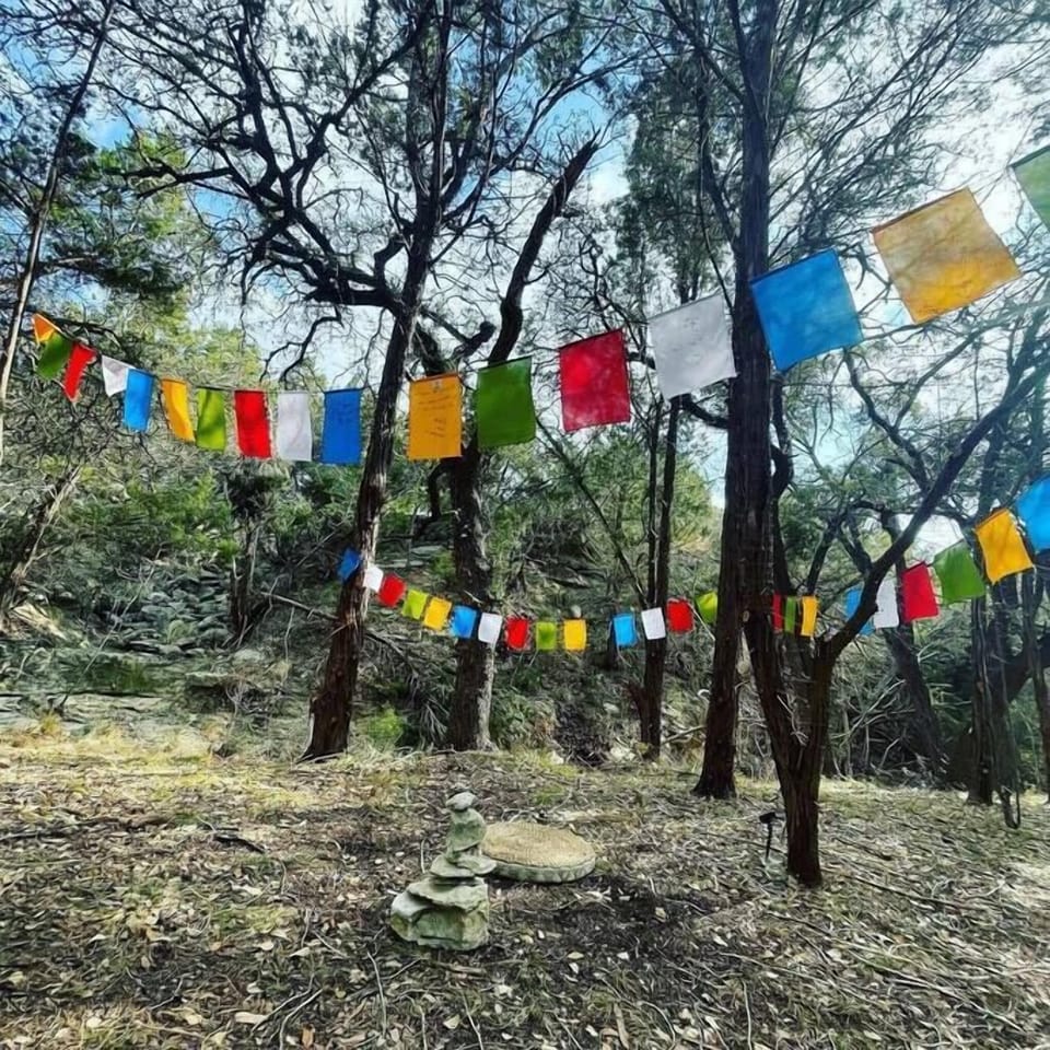 Sacred forest meditation space...