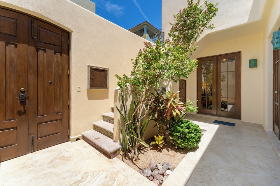 Small garden and water feature