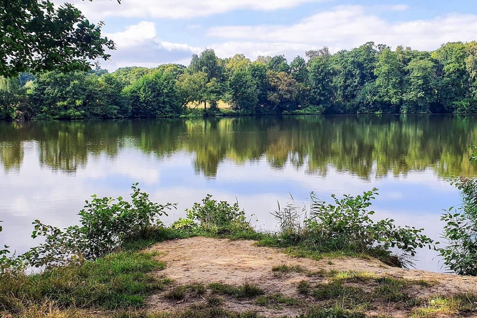 Water view